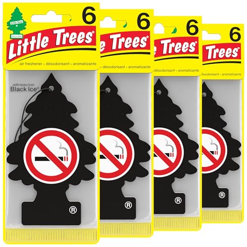 Best Air Freshener for Smoking in Car