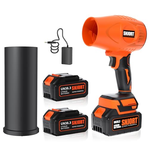 Best Blower for Drying Car