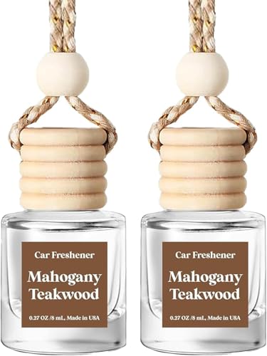Best Car Air Freshener for Guys