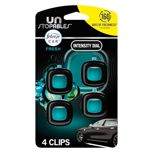 Best Car Fresheners
