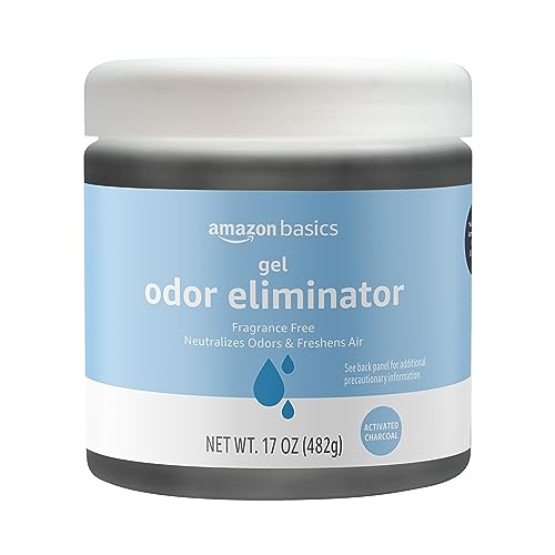 Best Car Odor Eliminator