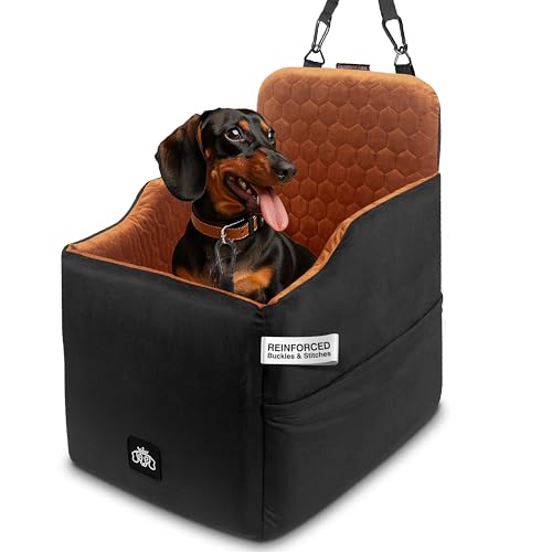 Best Car Seat for Dachshund