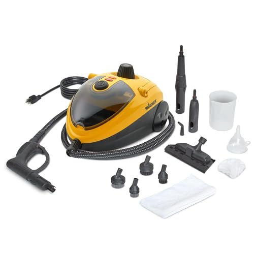 Best Car Steam Cleaner