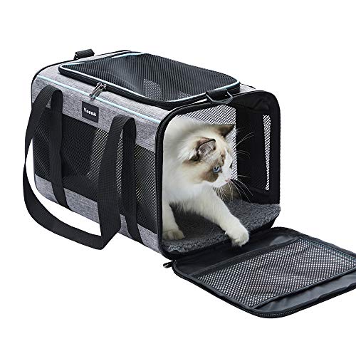 Best Cat Carrier for Car: Top Comfortable and Spacious Travel Options