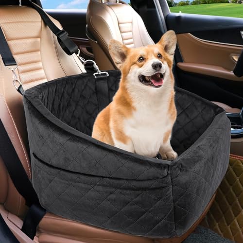 Best Dog Car Seat