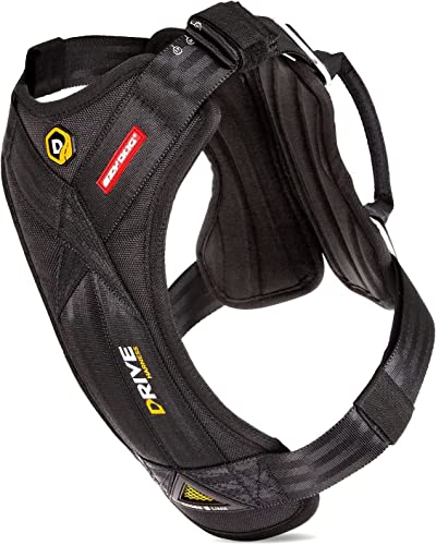 Best Dog Harness for Car