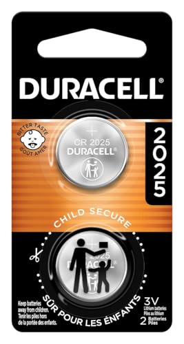 Best Electric Car Batteries 2025