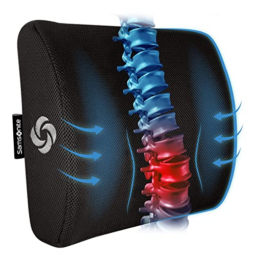 Best Lumbar Support for Car