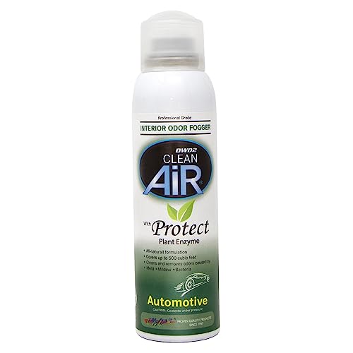 Best Mold Remover for Car Interior: Top Effective Sprays and Cleaners Reviewed