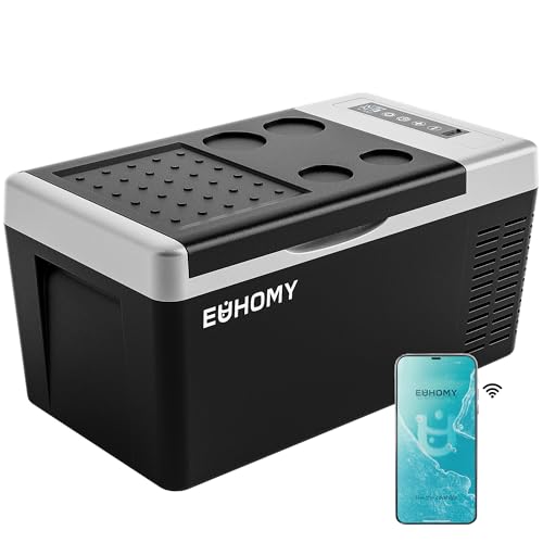 Best Portable Fridge for Car