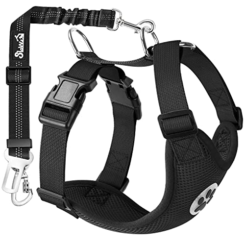 Best Puppy Car Harness
