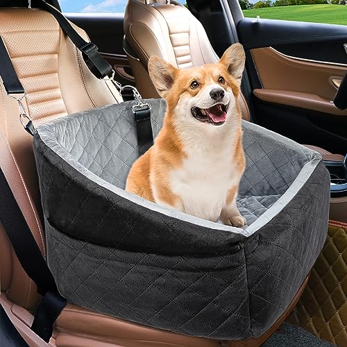 Best Puppy Car Seats