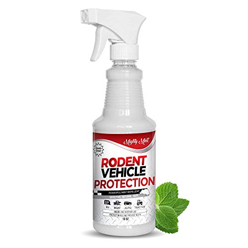 Best Rodent Repellent for Cars