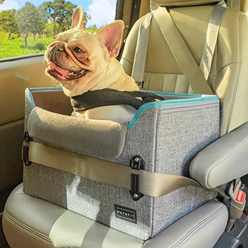 Best Small Dog Car Seat