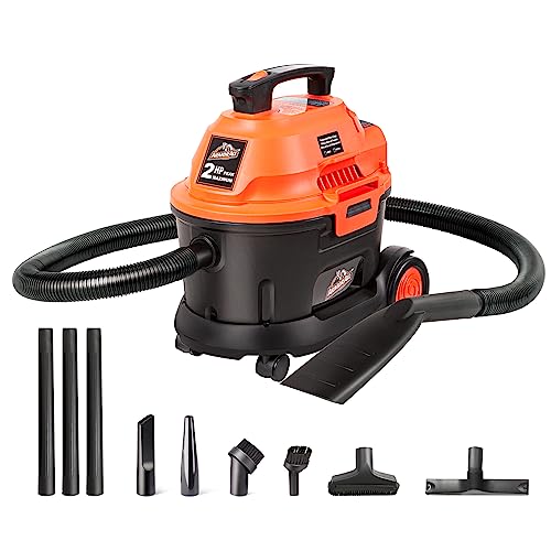 Best Small Shop Vac for Car Detailing