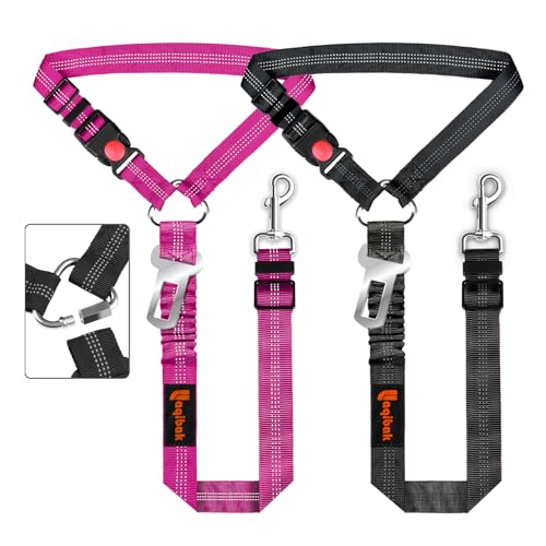 Best Value Car Leases